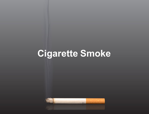 戒烟公益PPT模板、主题模板